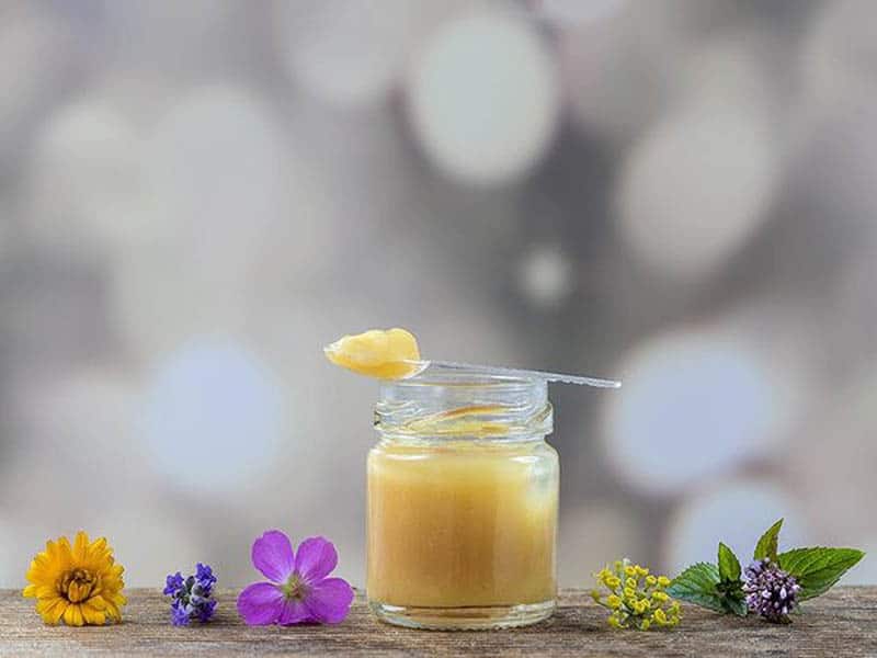 Sữa ong chúa chứa rất nhiều chất đạm và các dưỡng chất khác